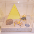 pyramid-nest3.png Queen Ant Egyptian Pyramid Nest Formicarium