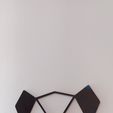 IMG_20210426_133137[1].jpg 3D Origami wall hanging -Panda