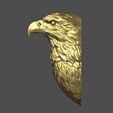 20.jpg Eagle