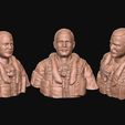 15.jpg Colonel Robin Olds 3d model 3D print model
