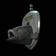 White-grouper-head-trophy-17.png fish head trophy white grouper / Epinephelus aeneus open mouth statue detailed texture for 3d printing