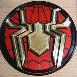 20211217_220054.jpg Spiderman logo
