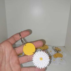 WhatsApp-Image-2023-08-21-at-21.33.13.jpeg STL file DAISY KEYCHAIN・3D printing design to download