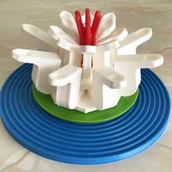 water_lily.jpg STL-Datei Water Lily - LEGO style kostenlos・3D-druckbares Modell zum herunterladen