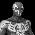 ss.png Spiderman into the Spiderverse ( Pack of 2 ) Models