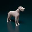 irish-wolfhound-3d-model-95c4f60df4.jpg Irish Wolfhound dog