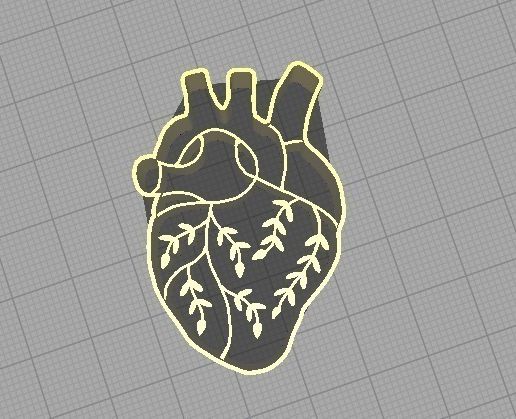 Cortante corazon anatomico 3D model