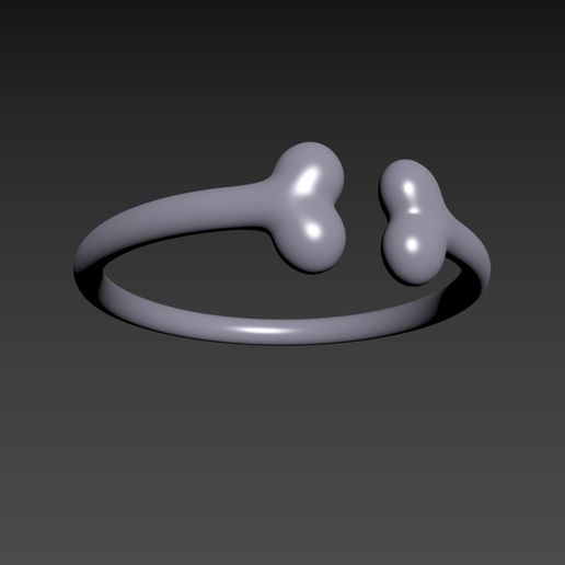 zz-2092422.jpg Diaphysis Ring