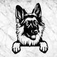 jnkjk.jpg German shepherd DOG WALL DECOR WALL DECOR WALL HOUSE PET REALISTIC MASCOT DOG DECO WALL HOUSE