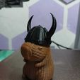 Imagen-de-WhatsApp-2025-08-23-a-las-19.50.47_4c76fb90.jpg capybara with assorted helmets