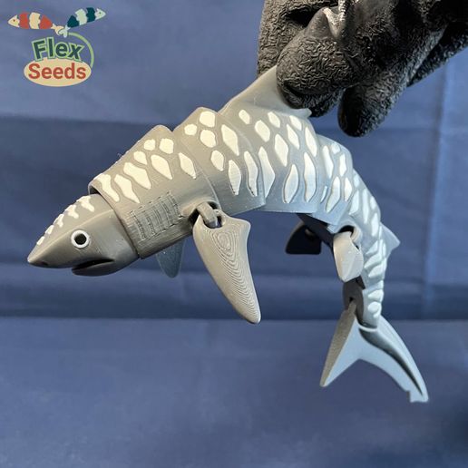tigershark_v2-7.jpg Flexi Tiger Shark Mark-Ⅱ(Print-in-place)