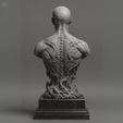 fewfef.jpeg Ember - Vein Phantom Bust