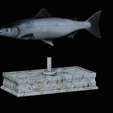 Salmon-statue-box-1-29.png fish sculpture of a Atlantic salmon / salmo salar with storage space / for 3d printing