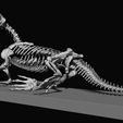 17.jpg BABY MUSSAURUS, POSE 3, FOR SCALE 1:1 PART 1 OF 3