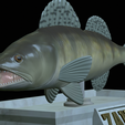 zander-statue-4-open-mouth-1-22.png fish zander / pikeperch / Sander lucioperca  open mouth statue detailed texture for 3d printing