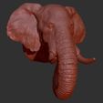42.jpg Elephant head