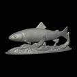 pstruh-klacky-1-12.png rainbow trout 2.0 underwater statue detailed texture for 3d printing