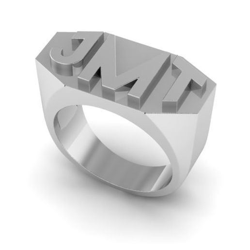 Ring Laters 3D model