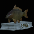 carp-statue-5.png fish carp / Cyprinus carpio statue detailed texture for 3d printing