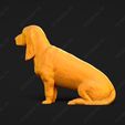 835-Basset_Bleu_de_Gascogne_Pose_06.jpg Basset Bleu de Gascogne Dog 3D Print Model Pose 06