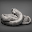 hognose-snakes5.jpg Hognose snakes 3D print model