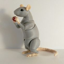 IMG_20191015_135957.jpg Archivo STL Rata BJD・Modelo para descargar e imprimir en 3D