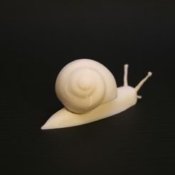 89f94d436922e7a24db7afa8019f9fd2_display_large.JPG Realistic garden snail