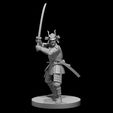 4a1cb2c3-b443-4926-8aa2-10529bd97c23.jpg Samurai minis