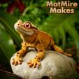 Painted-0207-copy.jpg Crested Gecko Articulated Toy, Print-In-Place Body, Snap-Fit Head, Cute Flexi