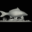 carp-high-quality-klacky-1-19.png big carp 2.0 underwater statue detailed texture for 3d printing