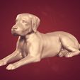 I1.jpg Dog - Labrador Statue
