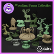 6.png Woodland Fauna Collection
