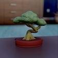 1746EC4D-F721-4A90-8354-A03466CF518F.jpeg Bonsai Tree Decorative 3D Print