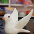 IMG-20251123-WA0043.jpg Голубь модель украшения для торта топпер