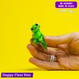 13.jpg Lizard Lilu the cute articulated flexi toy (STL & 3MF)