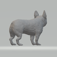4.png Pug Dog 3D print model