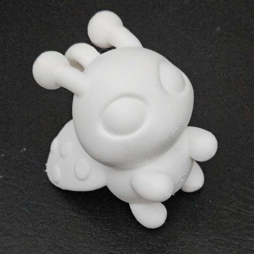 Flying-Ladybug-10.jpeg Flying Ladybug