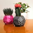 IMG_20201027_222123.jpg Succulent origami pot