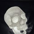 IMG_20251219_094841.jpg D&D Dice Skull  (Moved to Etsy No Models Here!)