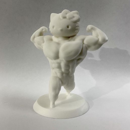 C68FE3F6-FF33-4CCF-B54B-5BFF04F8C5FB.jpeg Hello kitty swole body