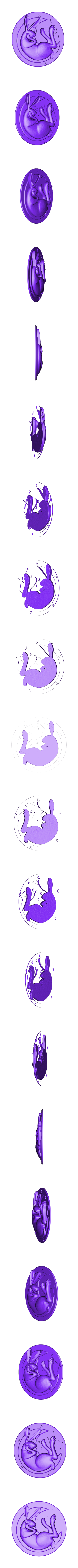 P25.stl Lapin