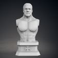01.jpg Triple H Bust - Classic and Current Versions