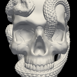 skull_with_snakes.png Archivo STL Modelo 3d de cráneo tóxico con serpientes・Diseño para descargar y imprimir en 3D, blueshirt