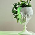 IMG_8225.jpg SKULL GOBLET /PLANTER