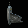 White-grouper-head-trophy-7.png fish head trophy white grouper / Epinephelus aeneus open mouth statue detailed texture for 3d printing