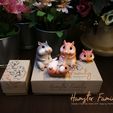 Ham03.jpg Hamster Family