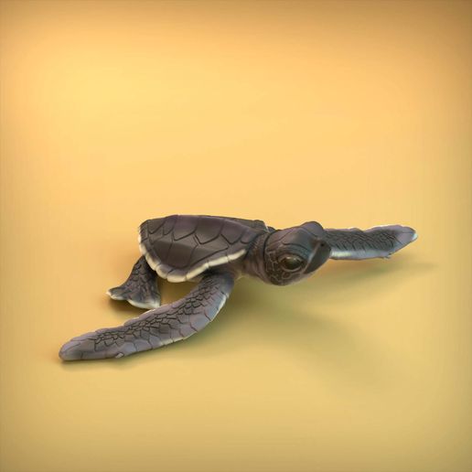 Turtle_1.jpg 3D-Datei Meeresschildkröten-Schlüpfling・3D-Druckvorlage zum Herunterladen, AnimalDenMiniatures