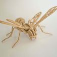 _DSC2603.jpg Free STL file 3D Printed Bee Puzzle・3D printable design to download
