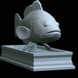 Dusky-grouper-30.png fish dusky grouper / Epinephelus marginatus statue detailed texture for 3d printing