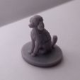 IMG_20230227_171239.jpg Poodle Miniature/Statue